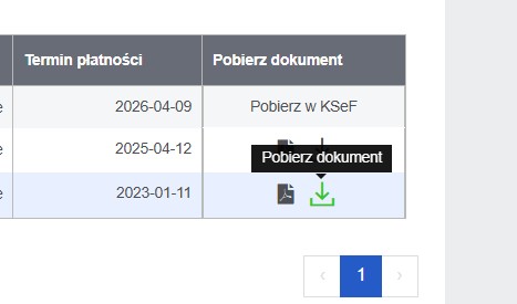 Opcja Pobierz dokument przy fakturze w Symfonia eBOK